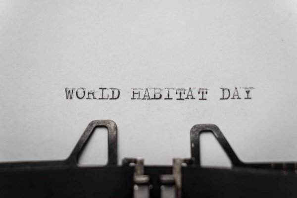 Comment créer un habitat enrichissant pour un loriquet arc-en-ciel ?